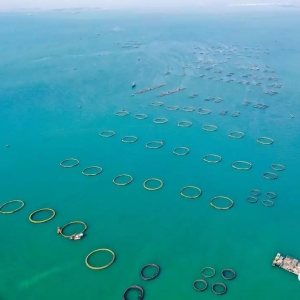 �ذ�����(gu��)(li��n)ˮ�a(ch��n)�~(y��)���(ch��ng)����2020��Ͷ�a(ch��n)����