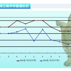 ���~���r�������(w��n)��������ˮ�a(ch��n)ǰ�ء�2020��1�¿��Ј�څ��