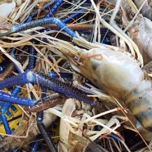 �����r������������С���r����߀Ҫ�Pע����