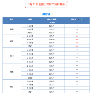 1��11��ȫ��С���r�Ј����l(f��)�r