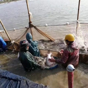 2019��1��21�ղ��~һ�܃r�����鲥��