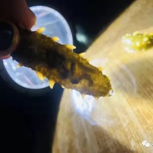 ������Խ�����ա���˼�S���Ͱѿء���(c��)���c������Ҫ