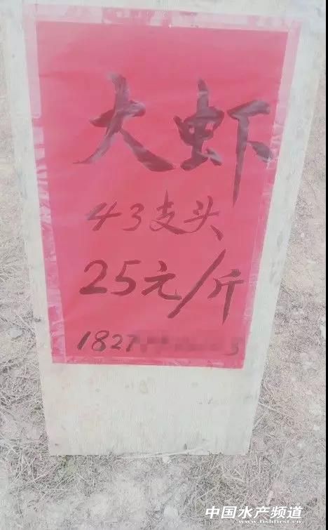 �~�r�u����������֮�£�������ô�Ծ���