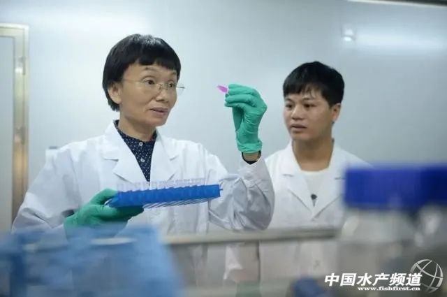 ���ۣ��޷���Ұ�������B(y��ng)ֳҎ(gu��)������