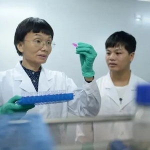 ���ۣ��޷���Ұ�������B(y��ng)ֳҎ(gu��)������