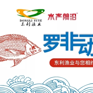 �B(y��ng)���e�O���~���ܳ����ٳ����٣������y�Լ�����| �|���O�I(y��)�ؼs