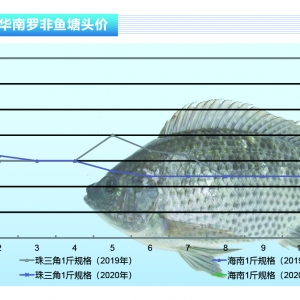 �_���~(y��)���������^�����~(y��)�r(ji��)�ϝq���gС������ˮ�a(ch��n)ǰ�ء�2020��2�¿��Ј�(ch��ng)څ��(sh��)