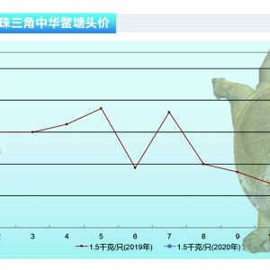 ���~�����~�����y�Ԙ��^������ˮ�a(ch��n)ǰ�ء�2020��3�¿��Ј�څ��