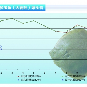 �����~��������Ӱ��N���E�p�����~�����ĘI(y��)�����y���ء�����ˮ�a(ch��n)ǰ�ء�2020��3�¿��Ј� ...