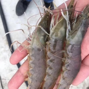 ���M����ϝq�r(ji��)������(d��n)�����á�����2�������a(ch��n)200����r��