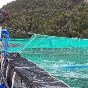 ͻ�l(f��)���к����匧(d��o)�����f�l���������~������