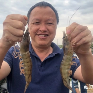 ��(w��n)���п������Ʒϵ�r���������x��