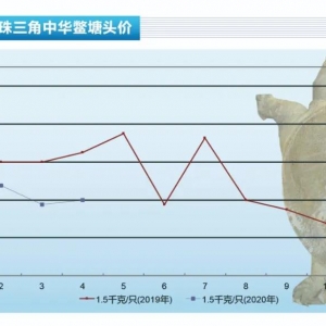 ���~���Ј��ھ�����ů�С�����ˮ�a(ch��n)ǰ�ء�2020��5�¿��Ј�څ��