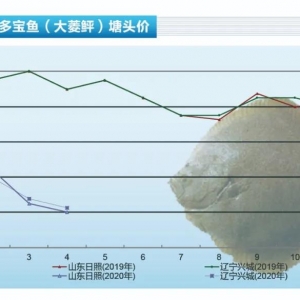 �����~���Ƶ���δ��ȫ�֏�(f��)���B(y��ng)ֳ������̝��������ˮ�a(ch��n)ǰ�ء�2020��5�¿��Ј�څ��