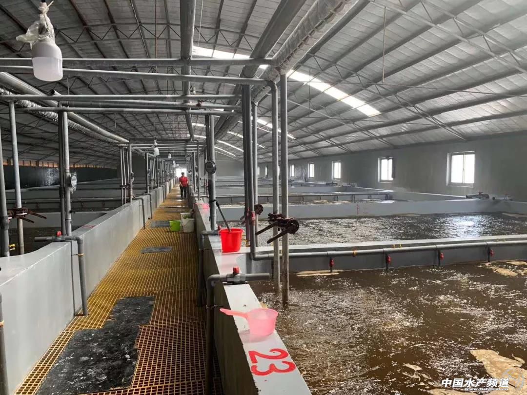 �������롰�����y����Ȧ������ͣ�a(ch��n)�����r��oȱ