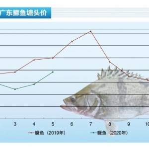 �Z�~������j�� �q���@�ˡ�����ˮ�a(ch��n)ǰ�ء�2020��6�¿��Ј�څ��