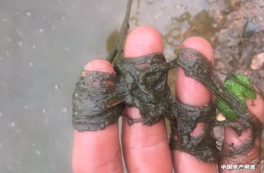 ��ش���+��40��ߜ������������(z��i)���~�L(f��ng)�U�ӄ���