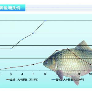 �a�~(y��)��������m(x��)�ϝq���o(w��)���Ѓr(ji��)�o(w��)�С�����ˮ�a(ch��n)ǰ�ء�2020��7�¿��Ј�(ch��ng)څ��(sh��)