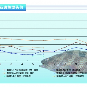 ʯ���~���a(ch��n)�I(y��)����ͣ�����Ј�(ch��ng)�N�����J�p������ˮ�a(ch��n)ǰ�ء�2020��7�¿��Ј�(ch��ng)څ��(sh��)