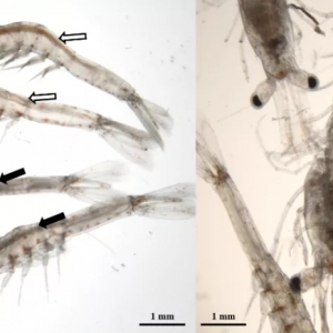 �r�缚(x��)���Բ����Y