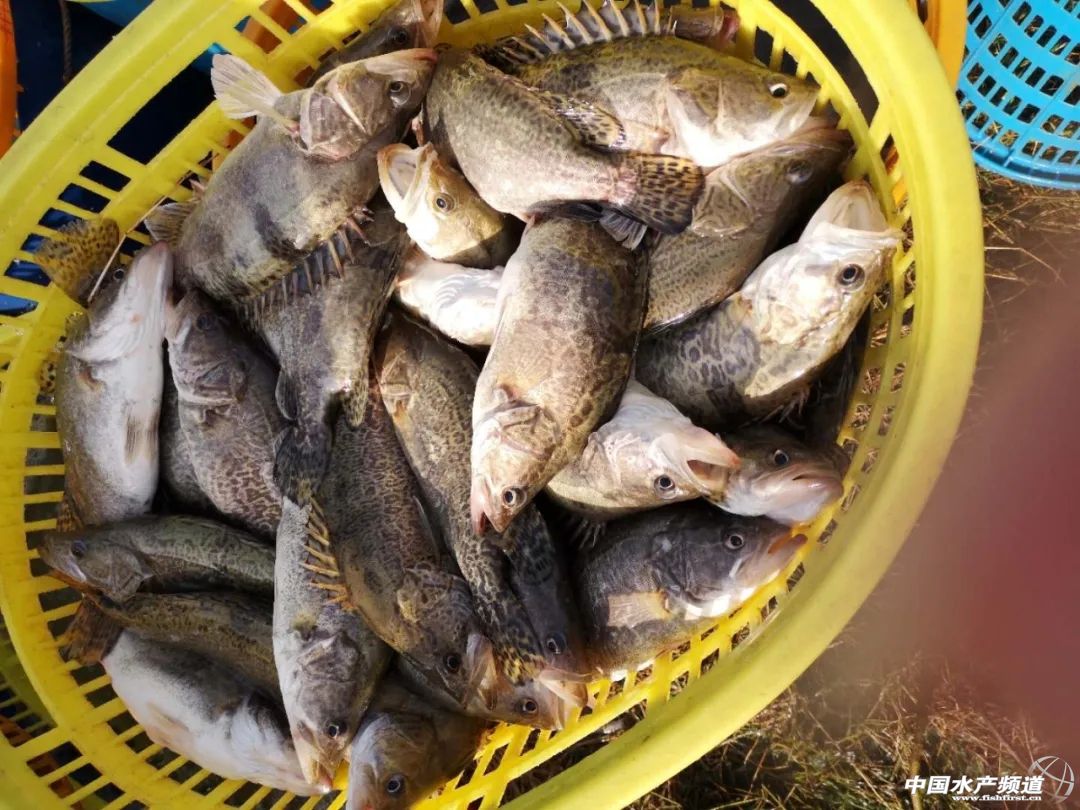 ������12����D�B(y��ng)1���Z�~����ô����D��ȥ�ă���