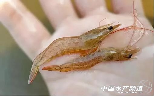 1����ƽ����a200�������r���ؼ�