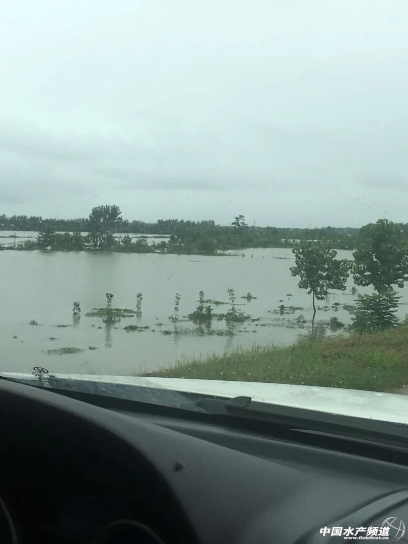 ��ı����؄�(chu��ng)���ڵ�ˮ�~�B(y��ng)ֳ��δ���~�rҪ����ϝq