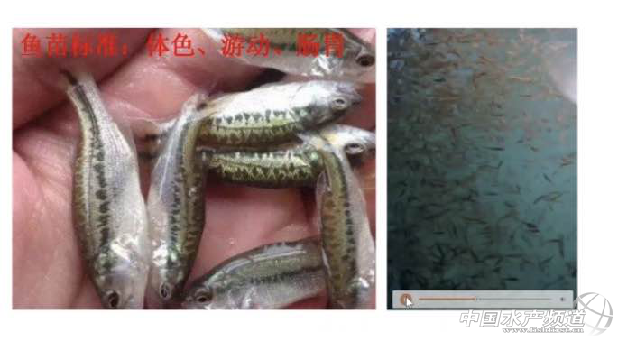 đ֭���ڼ����|�ϵ��о��c��(y��ng)�á�������ֱ���n����