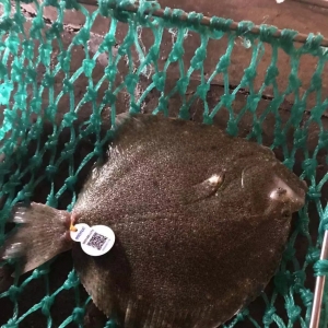 �ػسɱ������������~�~�r��(w��n)�q����