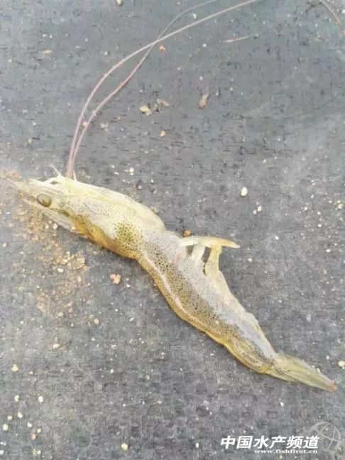 �°��������澳��ץס�C(j��)����������K�A����