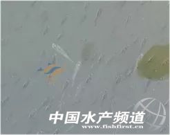 �ߜ������������~�����|��η��β�����