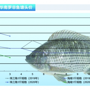 �_���~(y��)�������~(y��)�y���������ں��ӡ�����ˮ�a(ch��n)ǰ�ء�2020��4�¿��Ј�(ch��ng)څ��(sh��)