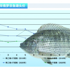 �_���~(y��)���ߜ��B(y��ng)ֳ�L(f��ng)�U(xi��n)����6���~(y��)���۷e�O������ˮ�a(ch��n)ǰ�ء�2020��8�¿��Ј�(ch��ng)څ��(sh��)