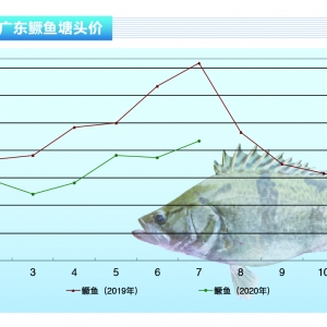 �Z�~����(w��n)�����������ؼ����q��30Ԫ������ˮ�a(ch��n)ǰ�ء�2020��8�¿��Ј�څ��