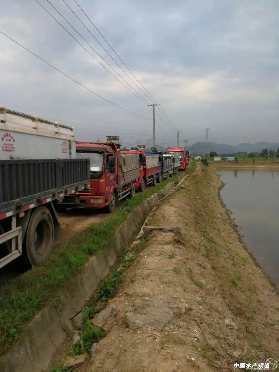 ������pȱ�~�����A�ϲ��~ȫ���ϝq��