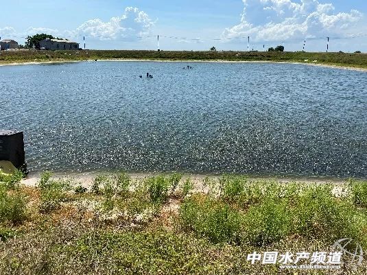 �����Ĳ��_���~�����B(y��ng)ֳ�Ć��}�����h