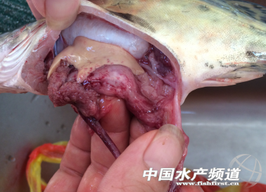 �ֳ��²����@Щ�Z�~����ԓ��η���