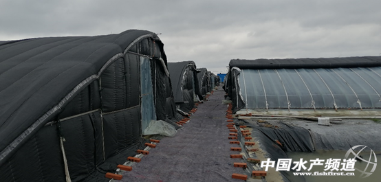 С������r�B(y��ng)ֳ���˽�һ��