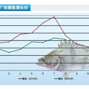 �Z�~����λ�������ϝq����������ˮ�a(ch��n)ǰ�ء�2020��9�¿��Ј�څ��