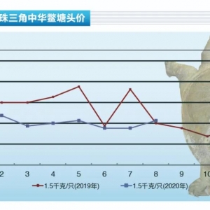 ���~�����M��ή�s�������Ѓr�o�С�����ˮ�a(ch��n)ǰ�ء�2020��9�¿��Ј�څ��