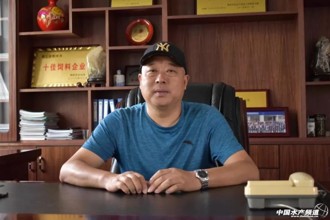 ���Ó�f��������΄�(chu��ng)�£����r(n��ng)������F(xi��n)����