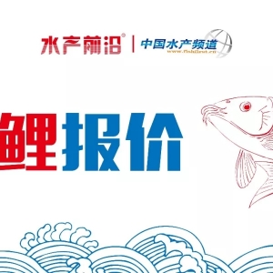 ��Ҫ�B(y��ng)ֳ�^(q��)�[���r(ji��)���^�鷀(w��n)�������ֵ؅^(q��)С���½�