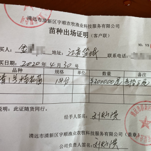 ��N�z�y(c��)�Ǵ��(sh��)��څ�����N�����B(y��ng)�Z�~