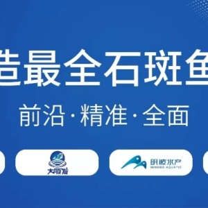 �S�������M�߷������^��ʯ�߃r���w�S��(w��n)