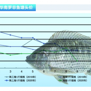 �_���~(y��)���������鷀(w��n)�����ϝq���g���󡪡���ˮ�a(ch��n)ǰ�ء�2020��10�¿��Ј�(ch��ng)څ��(sh��)