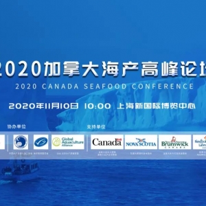 ��2020 ���ô󺣮a(ch��n)�߷�Փ��������������