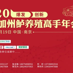 ��2020�Ї������|�a(ch��n)�I(y��)��Ȱ��u�x��ʽ������