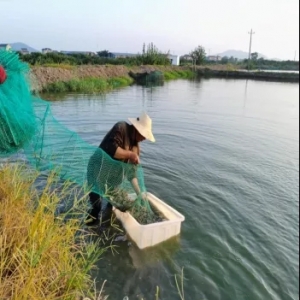 �B(y��ng)�r����Ҫ���A�Ρ������š������ֽ�����ζ��^