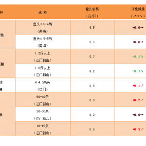 �q�����F��2020��12��4�������ǟo�[�~���^�r�񲥈�