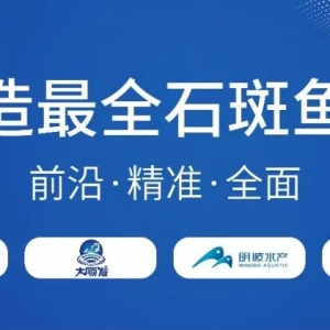 �o�������~������ʹʯ���~�r�����